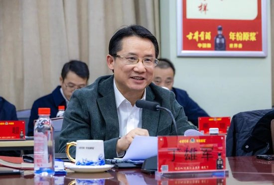 图：丁雄军讲话