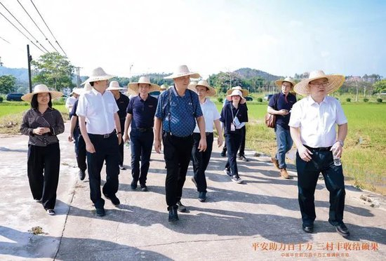  ▲2024年9月12日，平安服务广东省 “百千万工程” 调研活动在江门开展，马明哲一行参观了平安智慧农业示范基地。