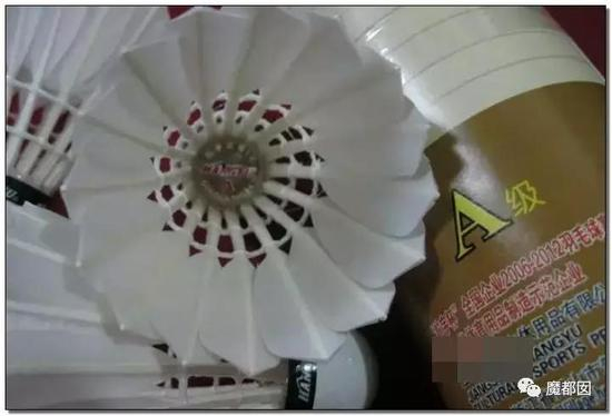 是不是感觉这个知识越来越冷了？