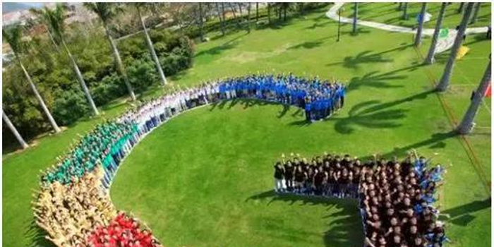 相杀相爱 谷歌贡献苹果最大收入?