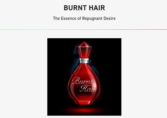 图片：The Boring Company官网