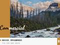 景顺长城江虹：迎来投顾「白盒」时代