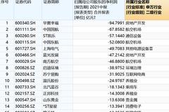 半年报十大“亏损王”出炉！最多亏了近百亿 机构已抓紧调仓
