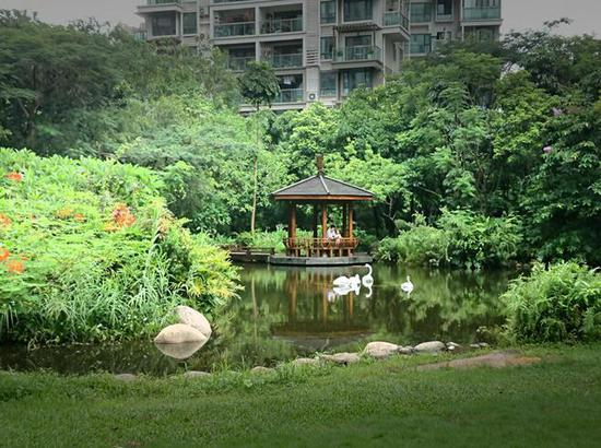 圖注：華聯城市山林的煙雨湖