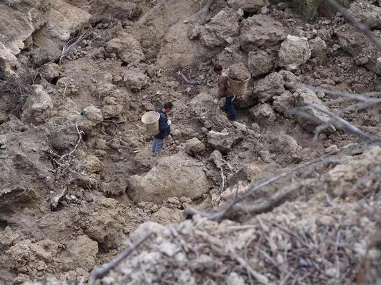 ▷施工人员将脱落的钙华背上瀑布