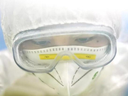 俞敏洪疫情日记2月17日|中国女性关键时刻 顶了不止半边天