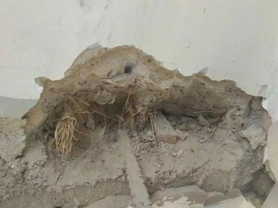 业主反击的工程质量图片