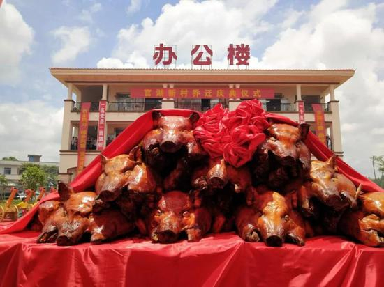 官湖村村民杀猪庆祝乔迁新居。摄影：田甜
