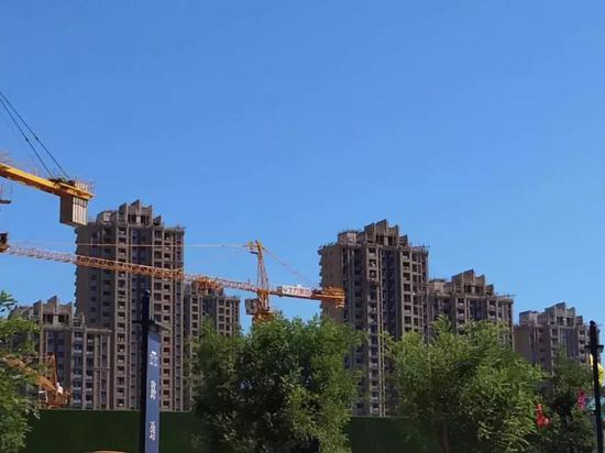 中房报记者 向军丨河北大厂报道