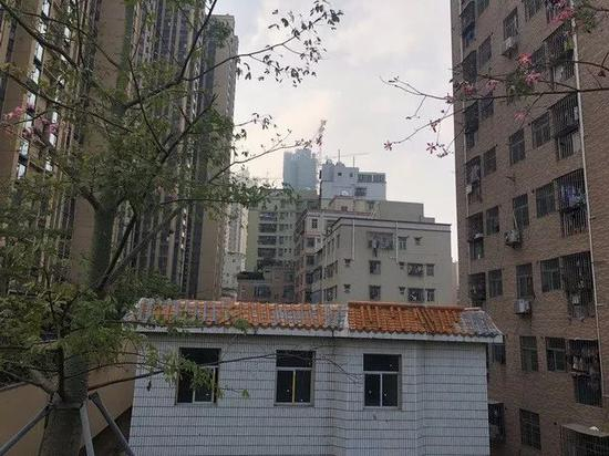 一墙之隔的中铁•诺德公馆和新围仔村，仿佛两个世界&nbsp;　中房报记者 翁晓琳/摄