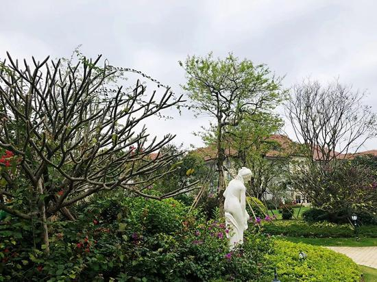鸡蛋花树上的这个手套，也骄傲的比起了剪刀手呢。