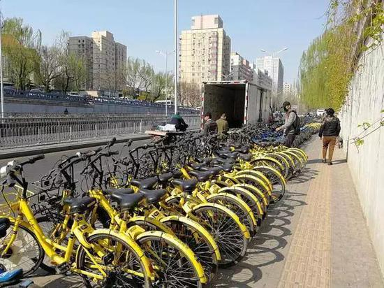 小蓝单车运营人员在单车堆积的路边继续投放车辆