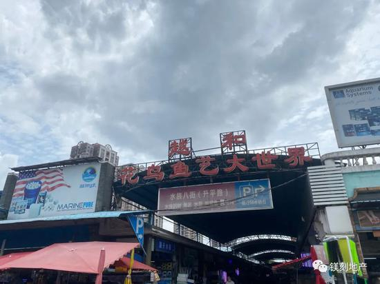  还在营业中的花鸟大世界 &nbsp;图片来源：镁编摄