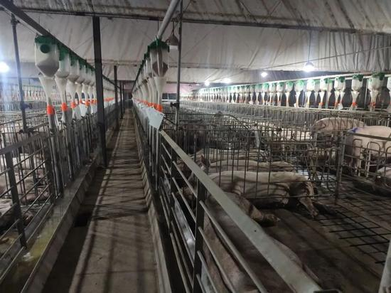 配怀舍。受访者供图