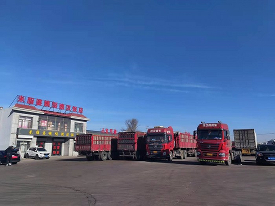 榆林市榆阳区金鸡滩镇上河村。该村有数家煤矿，村口有一条省道，煤炭货车往来如织。 拍摄/侯瑞宁