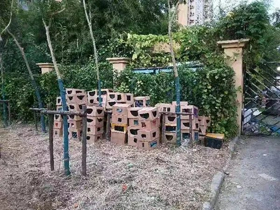 　志愿者供图，图片来源：新民晚报