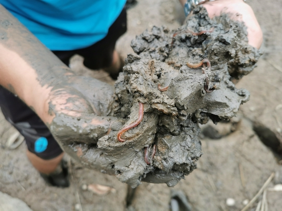 农历八月，禾虫成熟 时代周报记者 刘文杰/摄