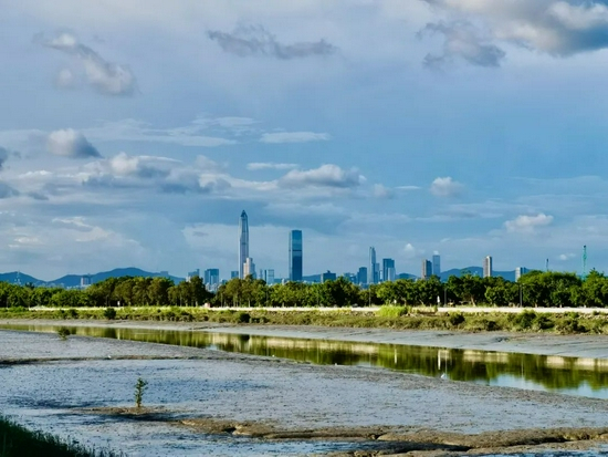 　　香港新界与深圳原本同属新安县，经历百年分隔后，两地有望逐渐走向协调发展。图为新界南生围生态保育区眺望深圳市中心区。《财经》记者 焦建/摄