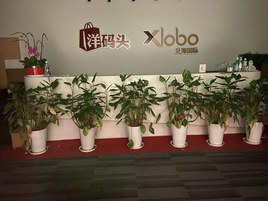 图注：洋码头总部前台，Tech星球拍摄。