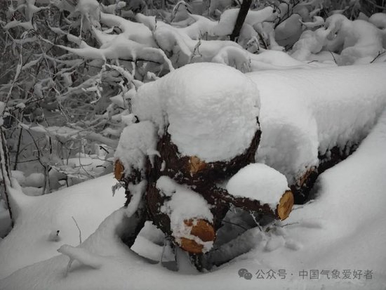 近日浙江雪@中气爱摄影群Wind