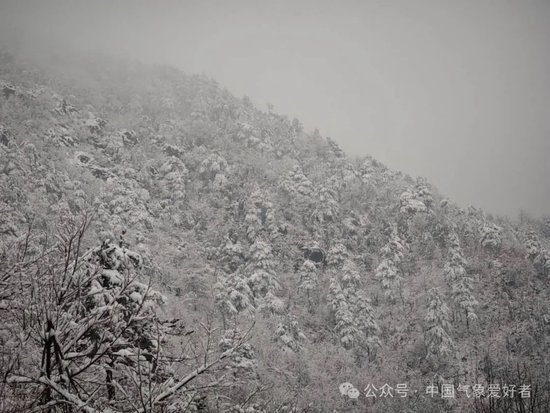 近日浙江雪@中气爱摄影群Wind