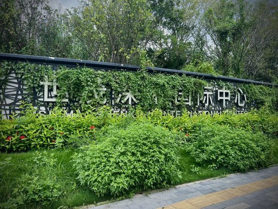 （项目现场荒草丛生，中房君7月19日摄）