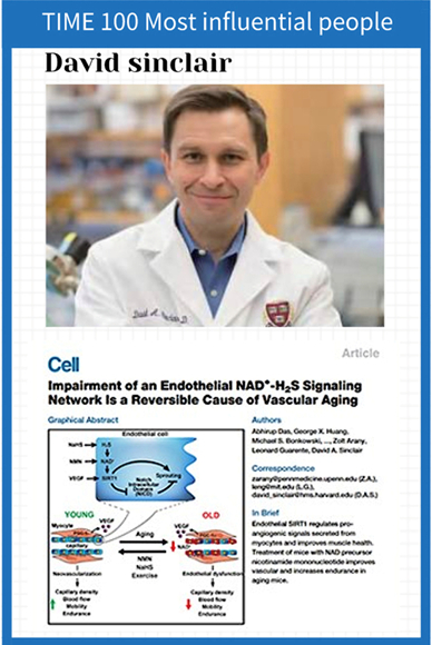 哈佛大学的大卫·辛克莱（David Sinclair）博士及其研究成果