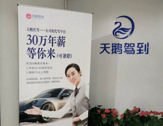 天鹅驾到对代驾司机的要求只有三个条件：女性；22-45周岁；拥有C2以上驾照两年/盐财经记者 摄