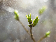 俞敏洪疫情日记2月27日|应让一线人员有决策和处置权