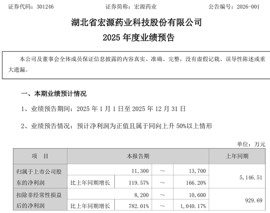 宏源药业业绩预告