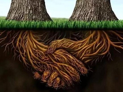 庞氏骗子还是创业先锋？张振新留下几大疑团