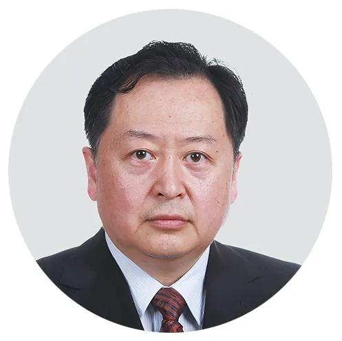 国家发展和改革委员会能源研究所副所长王仲颖