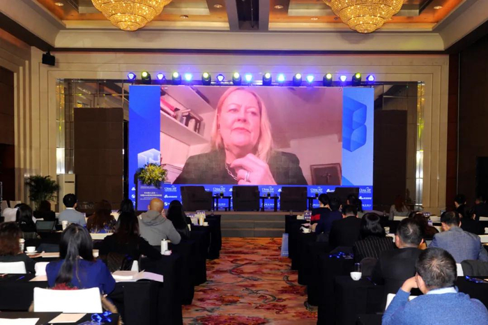 瑞典第二国家养老金（AP2）首席执行官 Eva Halvarsson