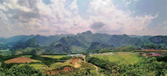 ▲生态修复后的贵州锦丰（烂泥沟）金矿