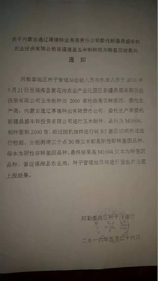 位于新疆北部的阿勒泰地区福海县一片2000亩的玉米制种田，于今年5月因被检测出父本为转基因品种，随后被相关农业部门要求全部铲除和罚款1万。