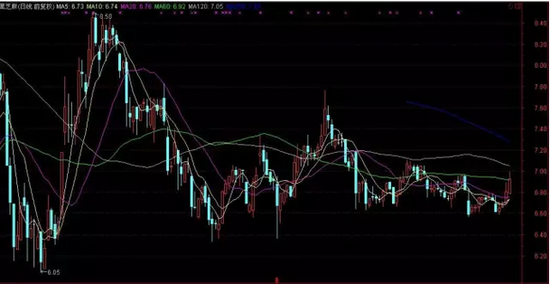▲黑芝麻（000716）近期股价走势