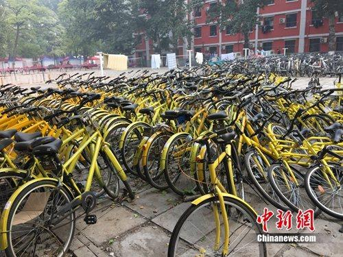 ofo在高校颇为流行。<a  href='http://www.chinanews.com/' >中新网</a> 吴涛 摄
