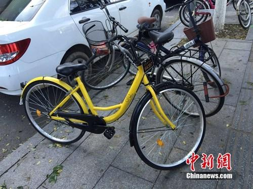 ofo进军校外市场。<a  href='http://www.chinanews.com/' >中新网</a> 吴涛 摄