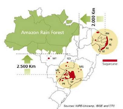 　数据来源：UNICA 南华期货研究所