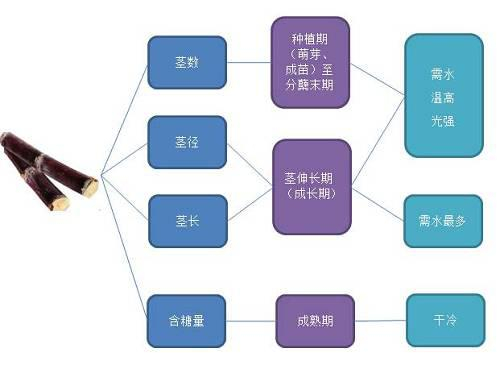 数据来源：公开资料 南华期货研究所