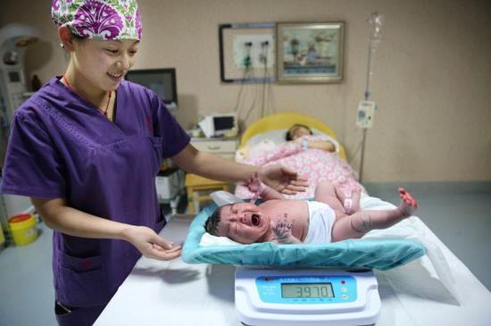 随着“全面二孩”政策的实行，我国各大城市医院在猴年将迎来新一轮“婴儿接生潮”。新华社发（王伟倩 摄）&nbsp;