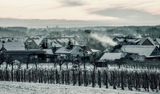 家乡的同龄人更关心休闲的质量。