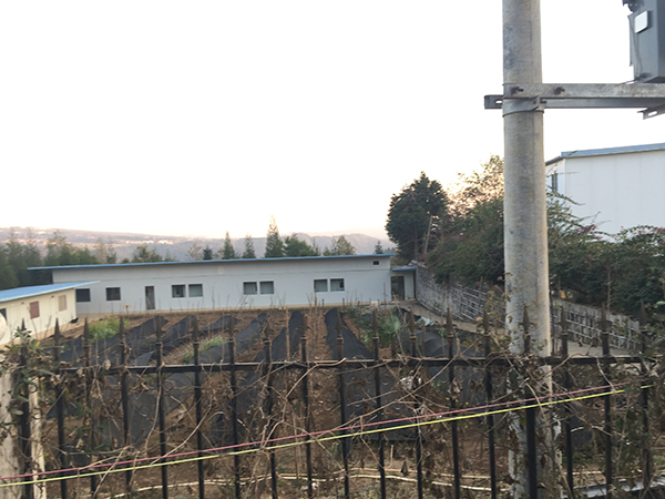 鲮鲤公司内院