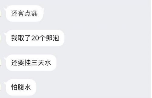 捐卵女孩与记者的QQ聊天截图