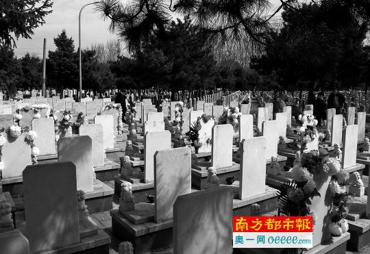 苏州墓园一景。CFP资料图片