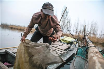 4月3日，河北安新县宋庄村，村民展示捕获的小龙虾。新京报记者 李强摄