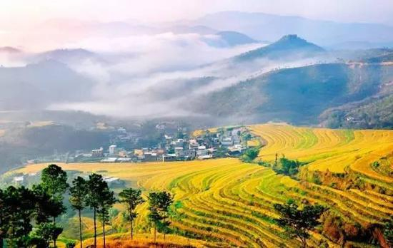 第十七名：茂名