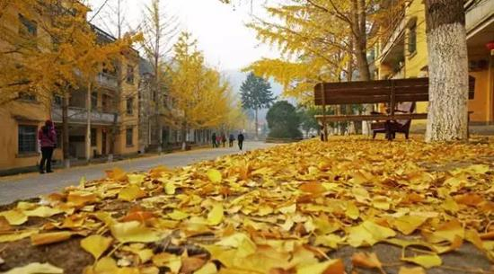 第十一名：云浮