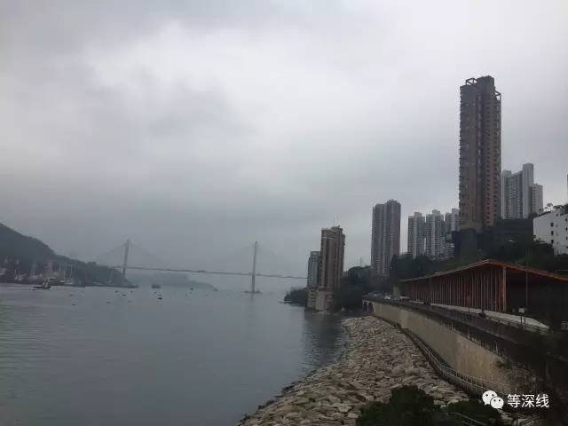 赵薇位于荃湾皇壁的豪宅，即图中单独矗立的32层建筑。《等深线》记者周远征摄影