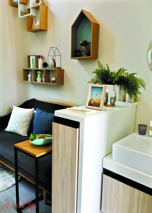 18平方米公寓的客厅局部景观。